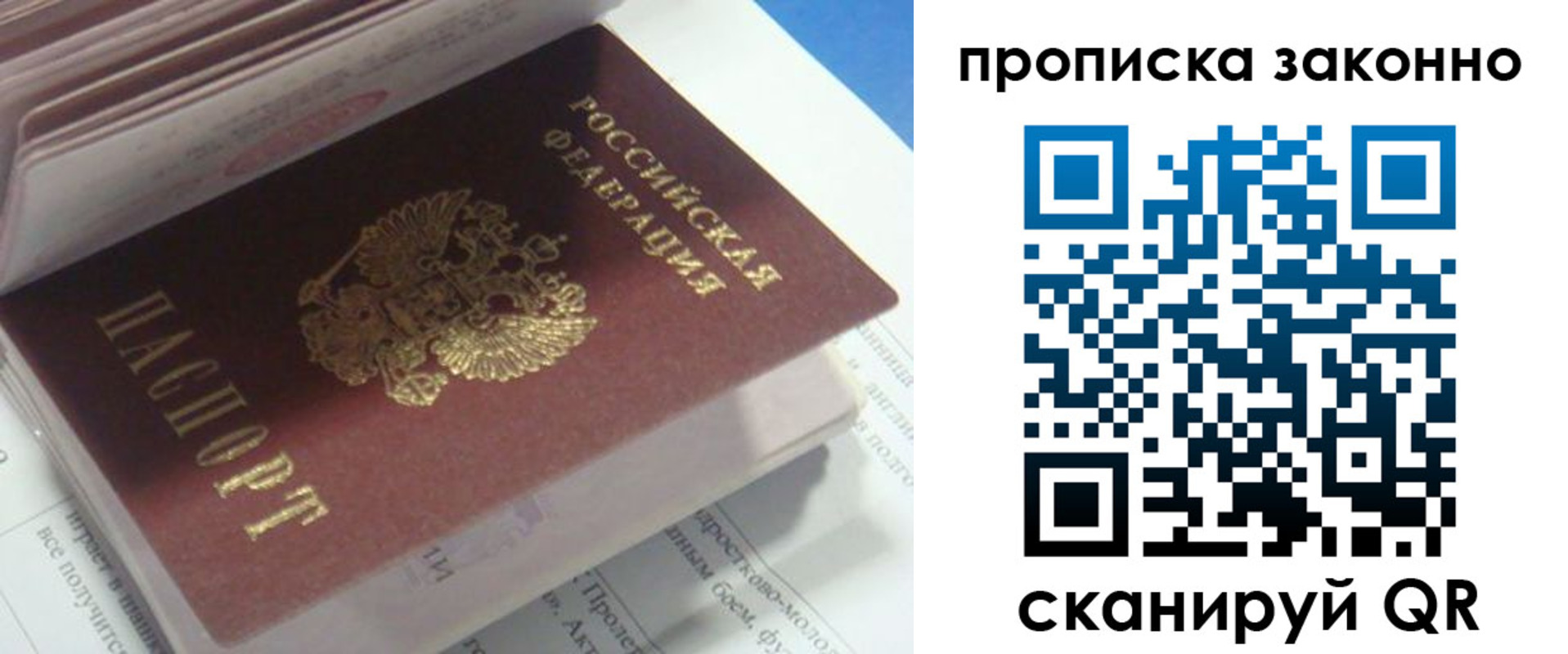 прописка гарантия в Ржеве